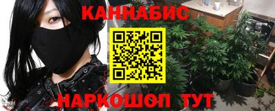 МДПВ Кингисепп