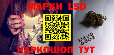 МДПВ Кингисепп