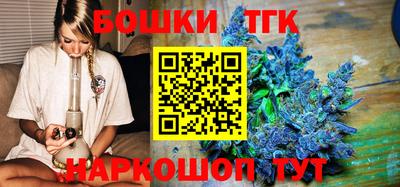 МДПВ Кингисепп