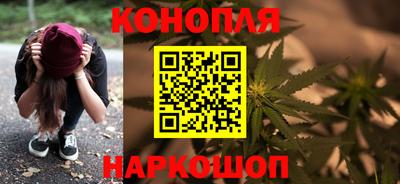 МДПВ Кингисепп