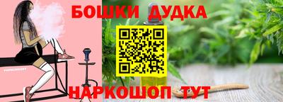 МДПВ Кингисепп