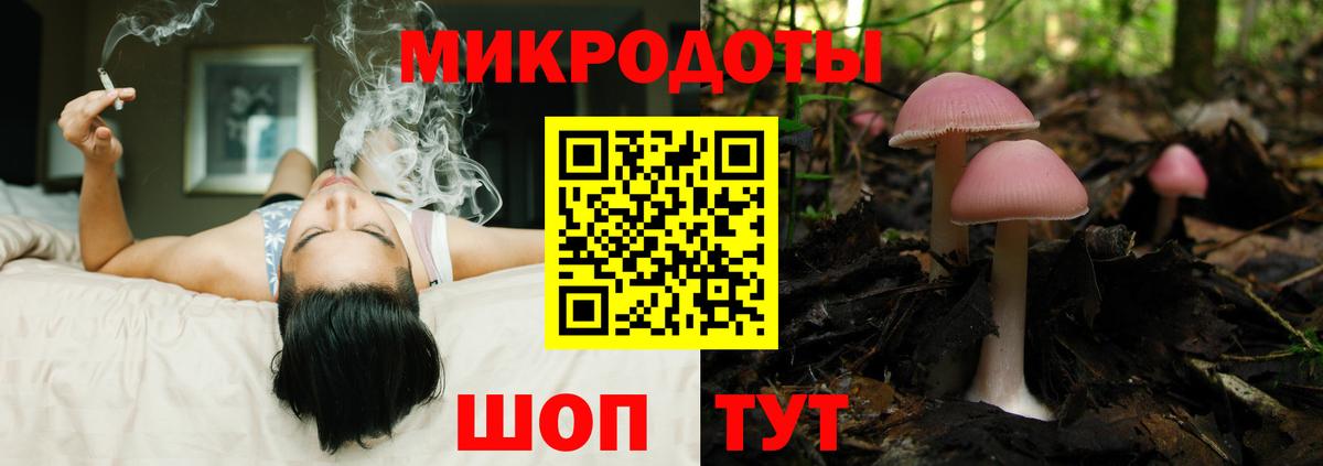Галлюциногенные грибы MAGIC MUSHROOMS  Вход с VPN  Кизляр 